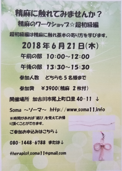 精麻のWS開催です