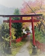 魂の生きる道へ